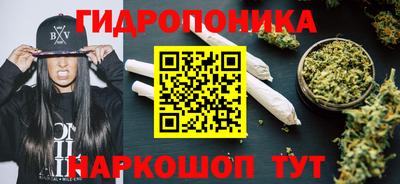 стаф Канаш