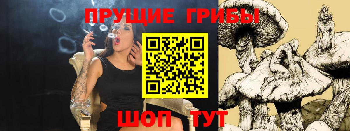 Галлюциногенные грибы Psilocybine cubensis  где найти   Кудрово  Вход с VPN 